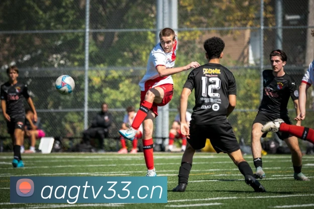 好体育登录服务体系